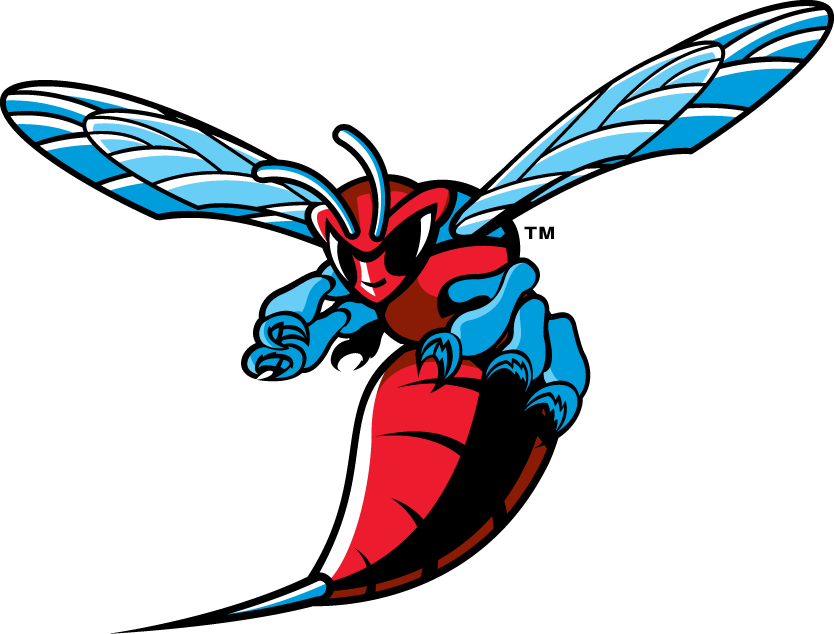 Delaware State Hornets logos iron-ons